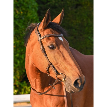 Liberty Bridle - One Collection