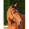 Liberty Bridle - One Collection