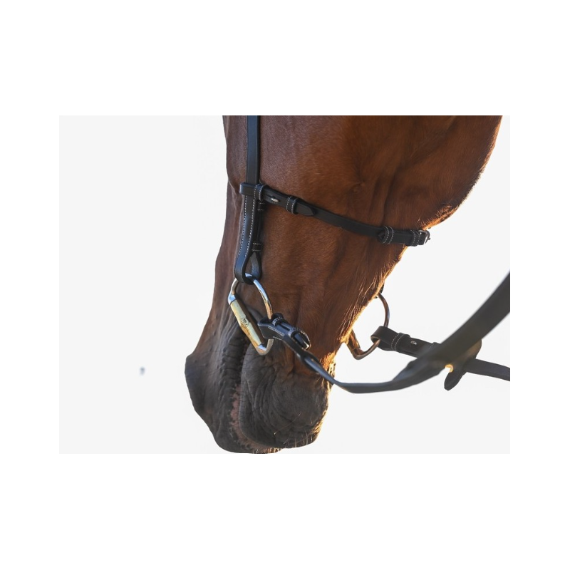 Liberty Bridle - One Collection