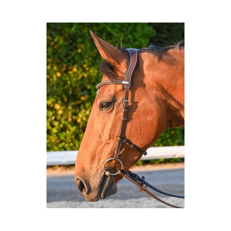 Liberty Bridle - One Collection