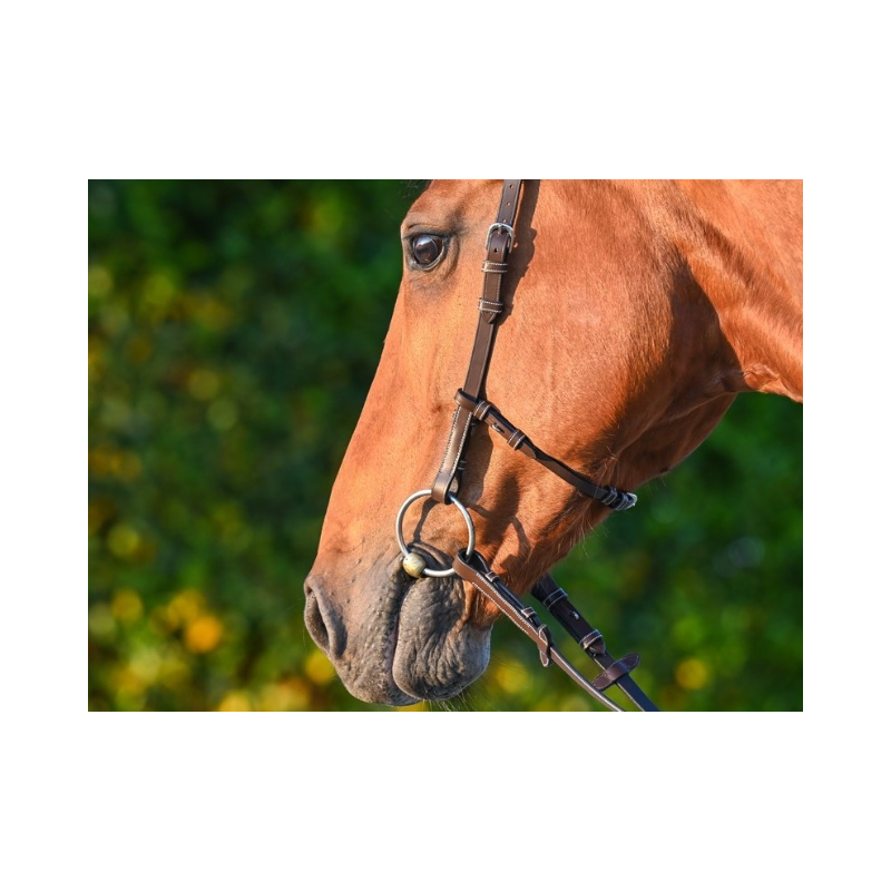 Liberty Bridle - One Collection
