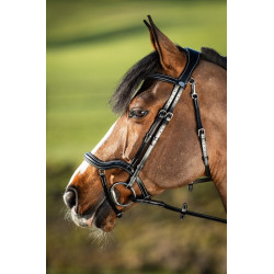 TECHNO BRIDLE