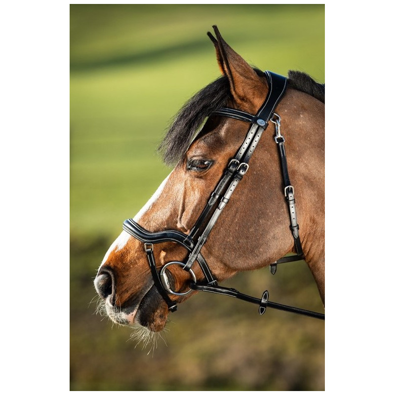 TECHNO BRIDLE - HFI