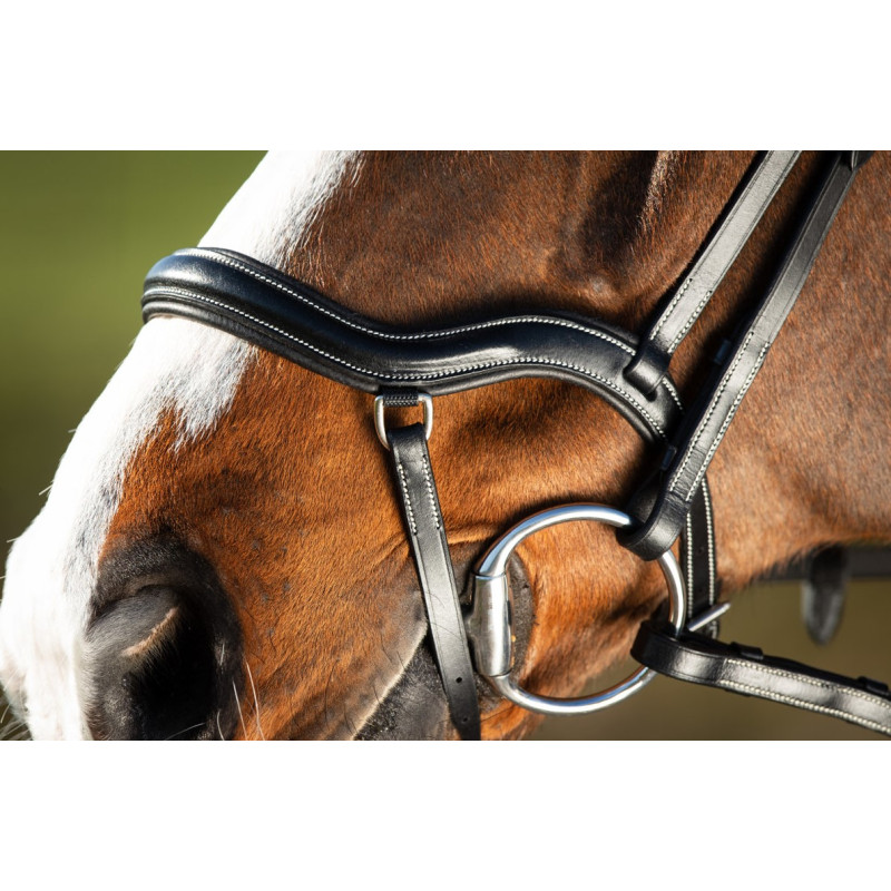 TECHNO BRIDLE - HFI