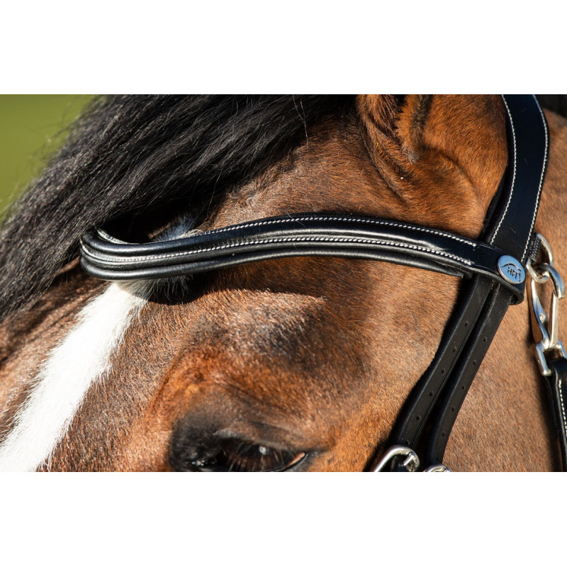 TECHNO BRIDLE - HFI