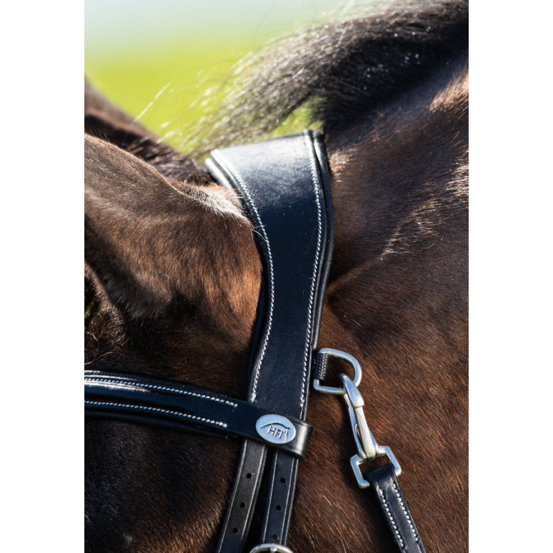 TECHNO BRIDLE - HFI