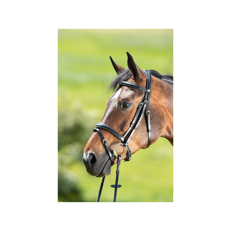 TECHNICAL BRIDLE - HFI