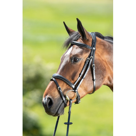 TECHNICAL BRIDLE - HFI