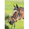 TECHNICAL BRIDLE - HFI