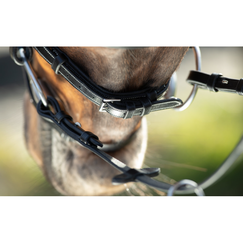 TECHNICAL BRIDLE - HFI