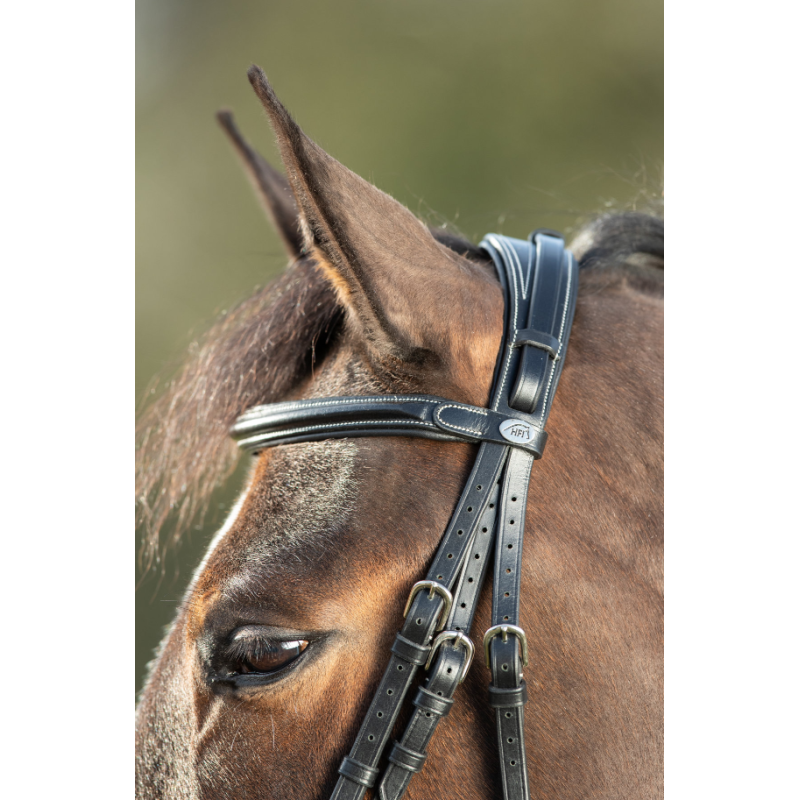 TECHNICAL BRIDLE - HFI