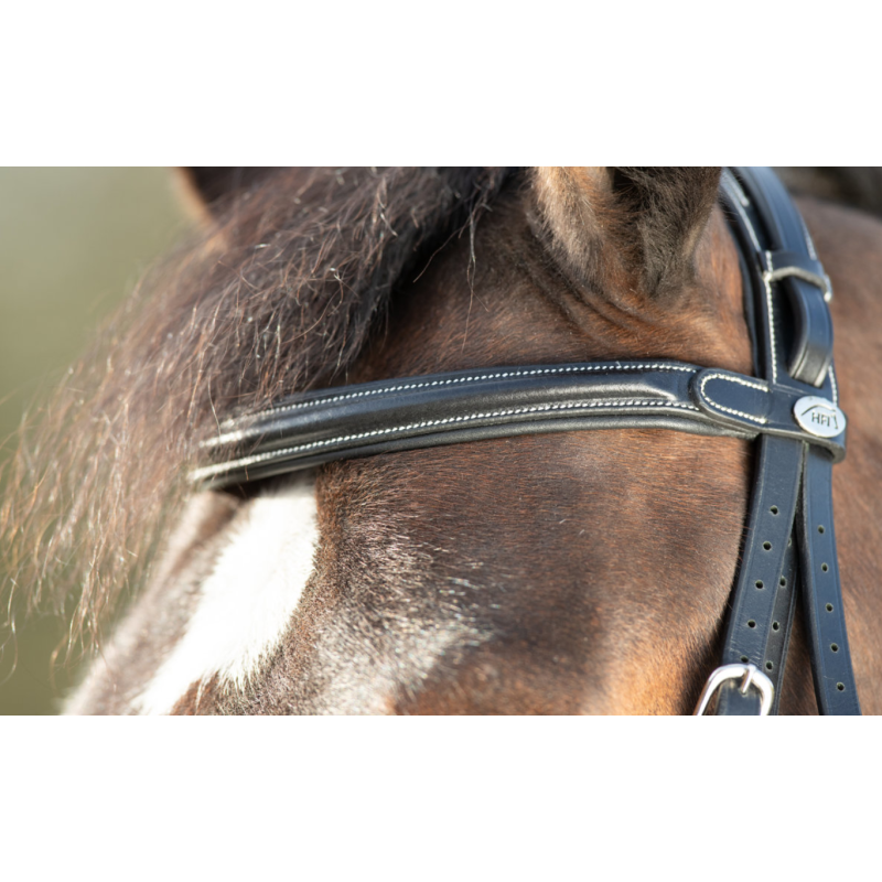 TECHNICAL BRIDLE - HFI
