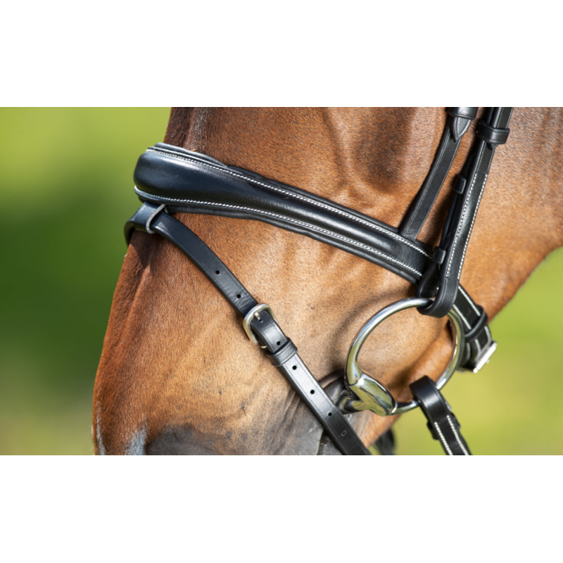 TECHNICAL BRIDLE - HFI