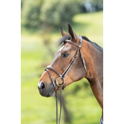 TECHNICAL BRIDLE