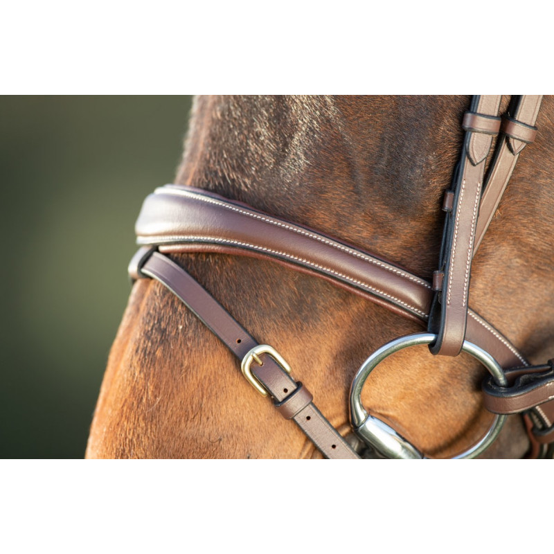 TECHNICAL BRIDLE - HFI