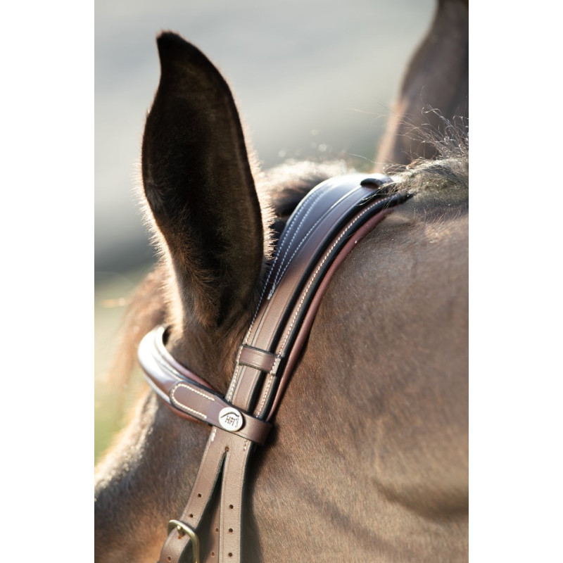 TECHNICAL BRIDLE - HFI