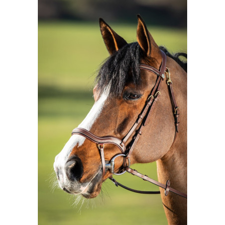 TECHNO BRIDLE - HFI