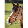 TECHNO BRIDLE - HFI