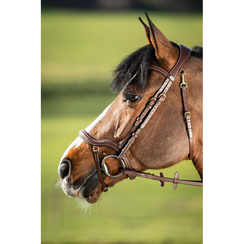 TECHNO BRIDLE - HFI