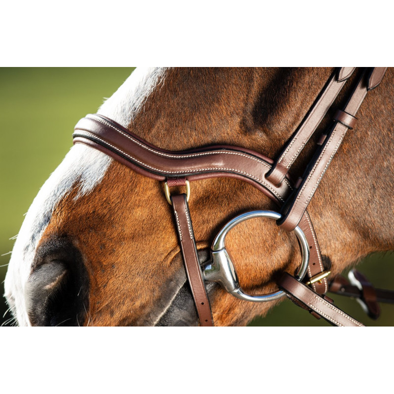 TECHNO BRIDLE - HFI