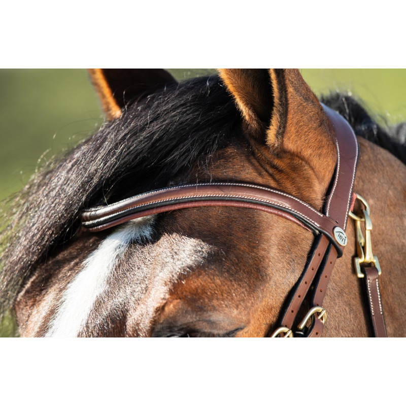 TECHNO BRIDLE - HFI