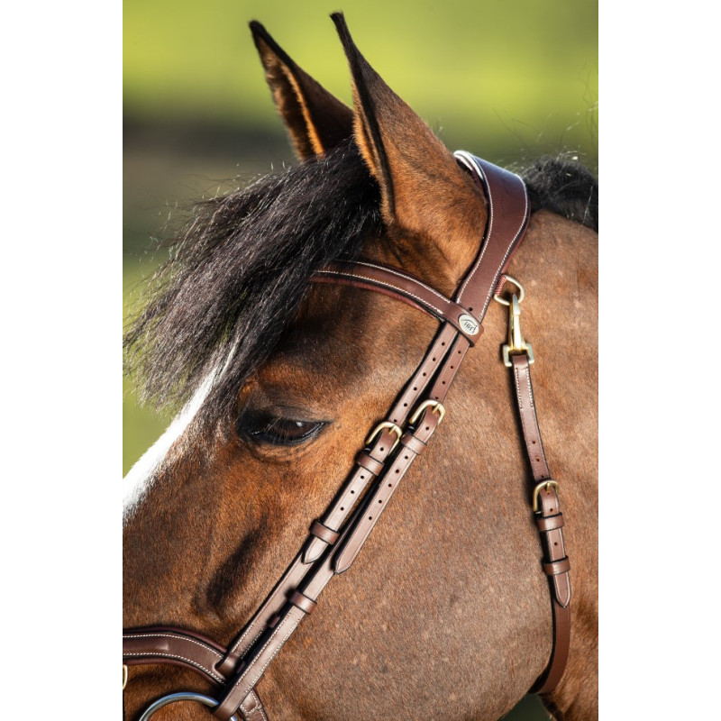TECHNO BRIDLE - HFI