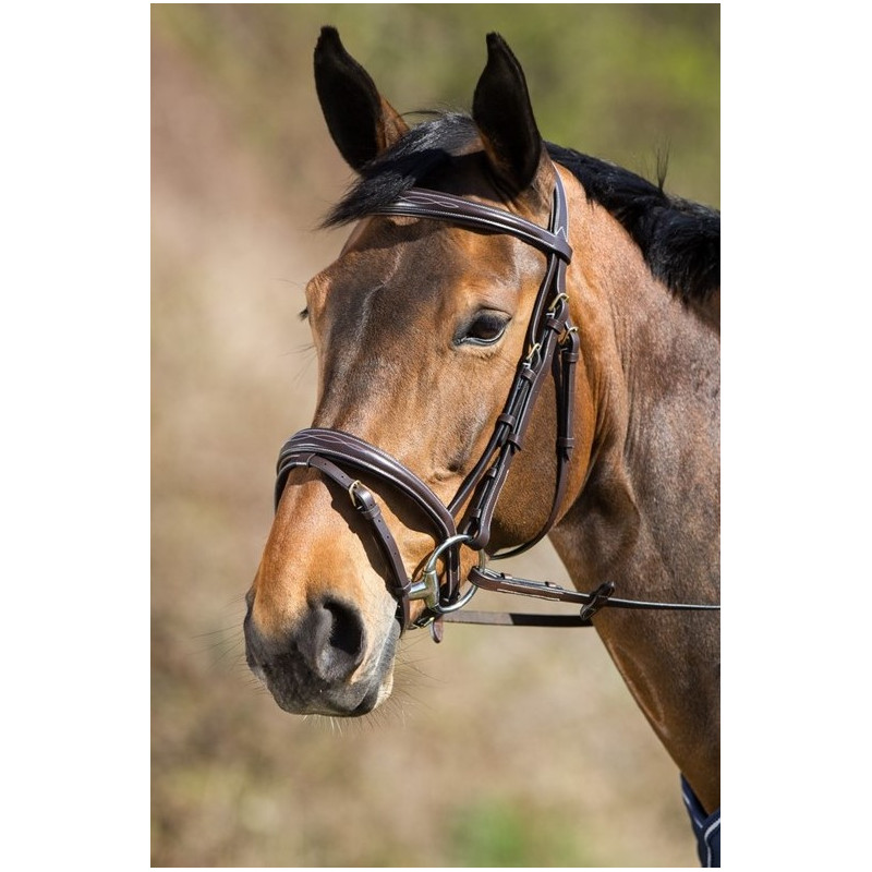 ELEGANT BRIDLE - HFI