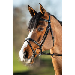 ELEGANT BRIDLE