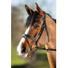 ELEGANT BRIDLE - HFI
