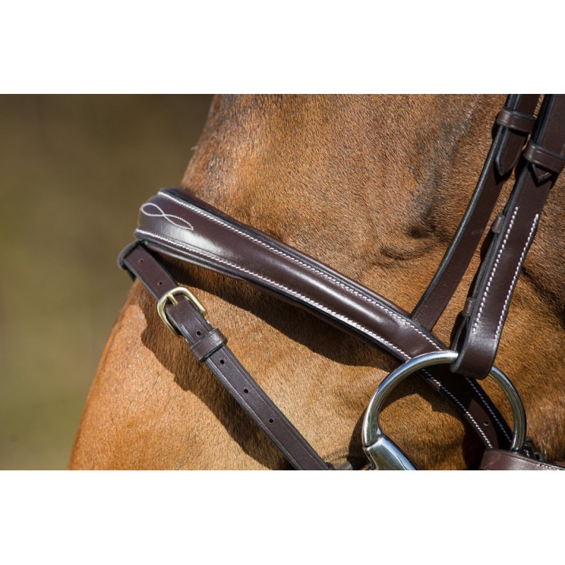ELEGANT BRIDLE - HFI