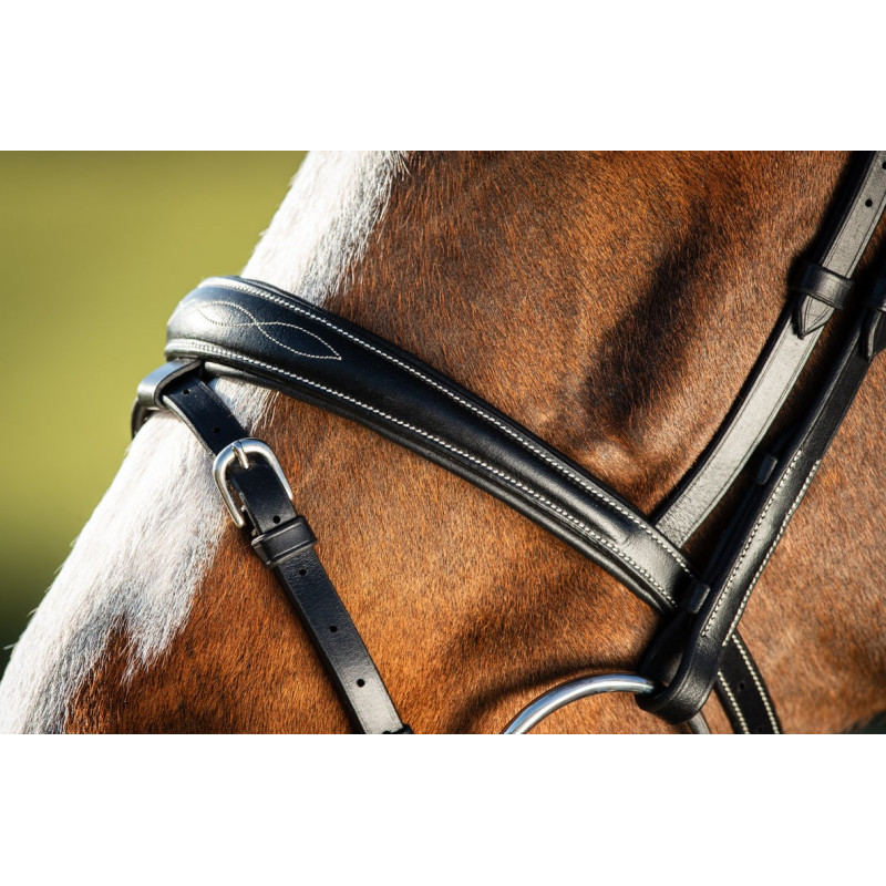 ELEGANT BRIDLE - HFI