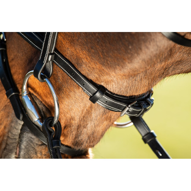 ELEGANT BRIDLE - HFI