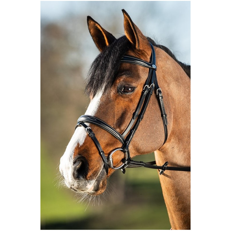 ELEGANT BRIDLE - HFI