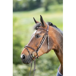 REGULAR BRIDLE