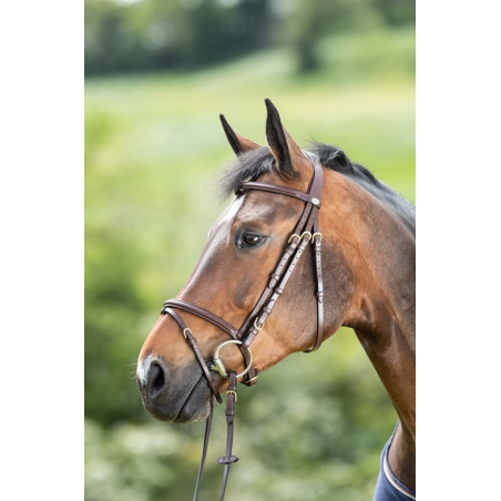 REGULAR BRIDLE - HFI