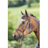 REGULAR BRIDLE - HFI