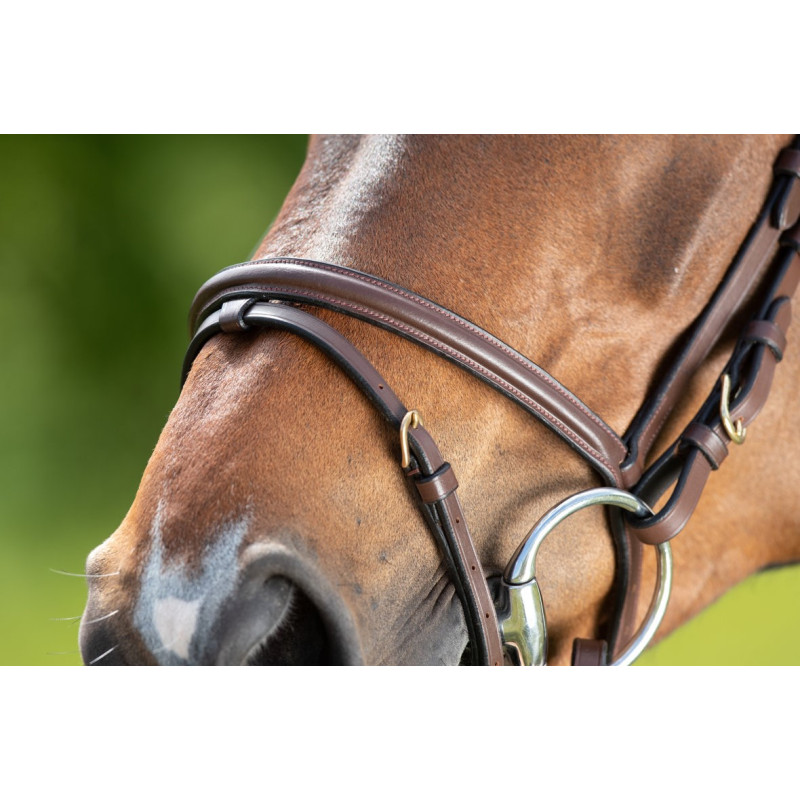 REGULAR BRIDLE - HFI