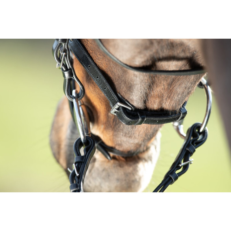REGULAR BRIDLE - HFI