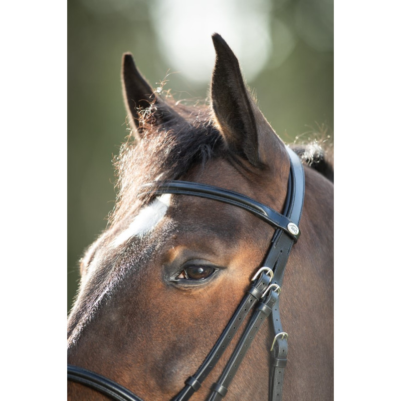 REGULAR BRIDLE - HFI
