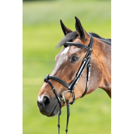 Bridon Anatomic - HFI | Mors & More