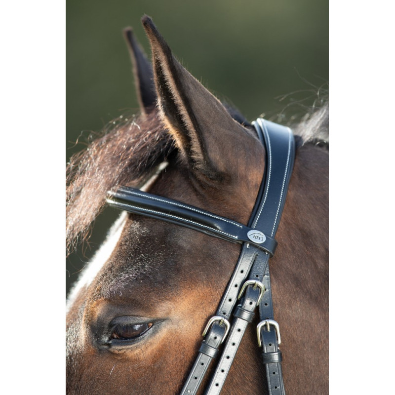 ANATOMIC BRIDLE - HFI