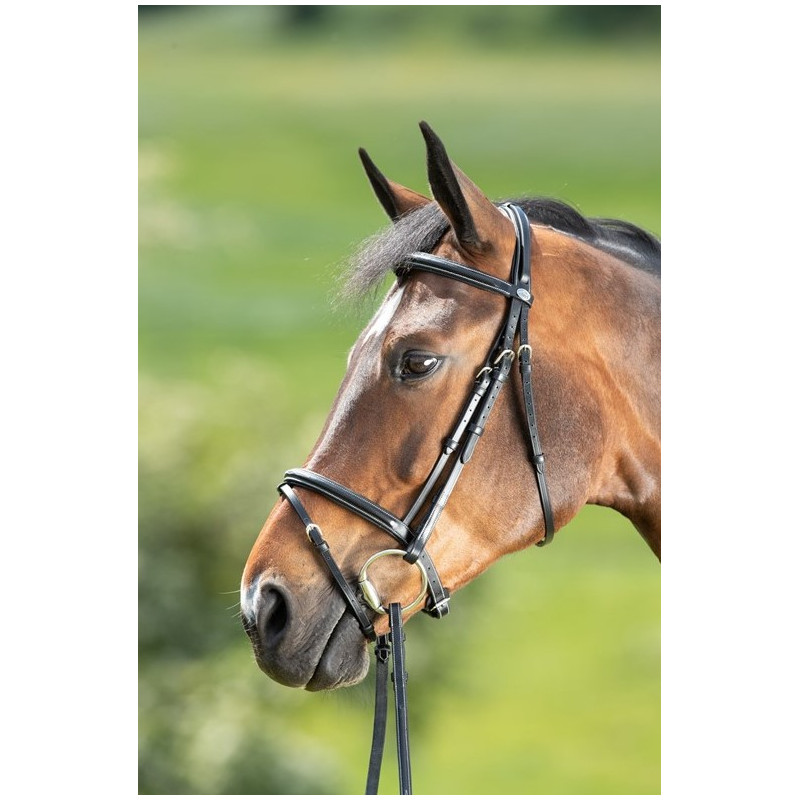 COMFORT BRIDLE - HFI