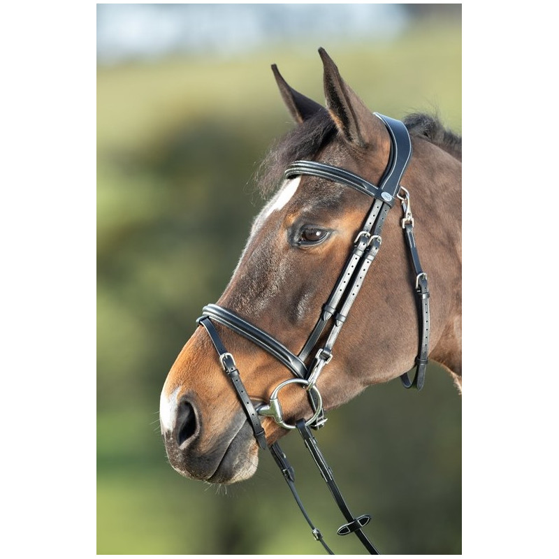 Functional Bridle - HFI
