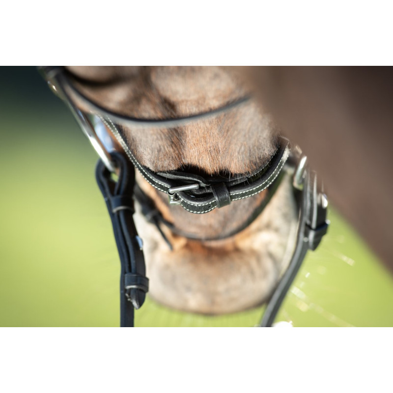 Functional Bridle - HFI