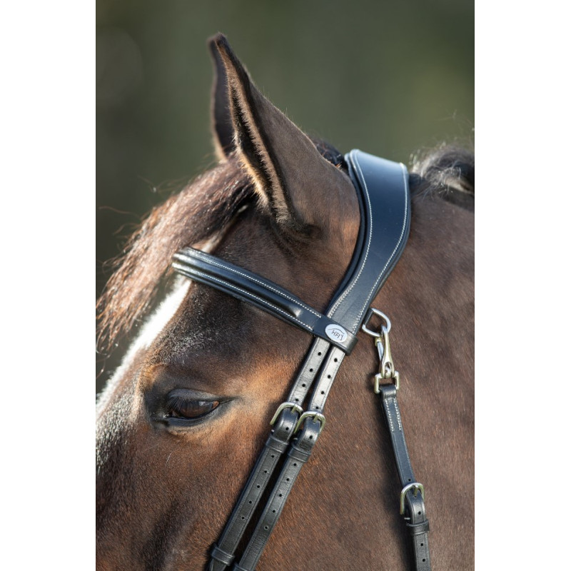 Functional Bridle - HFI