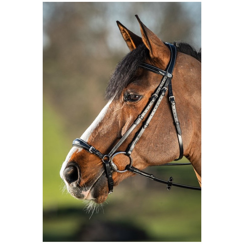 German bridle - HFI