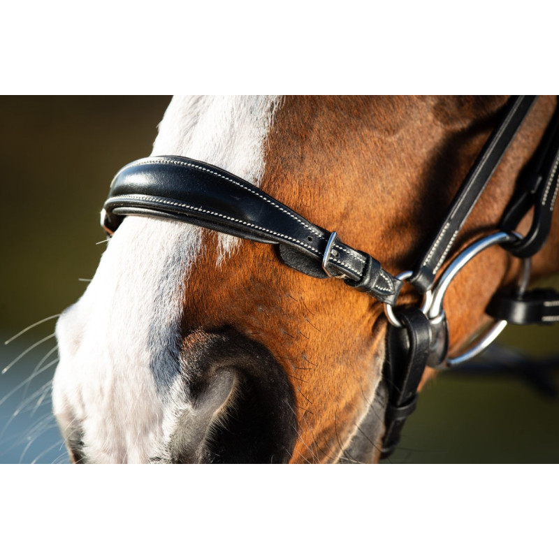 German bridle - HFI