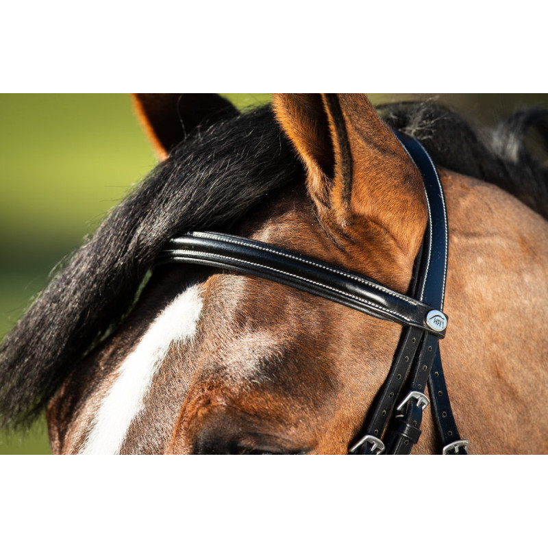 German bridle - HFI
