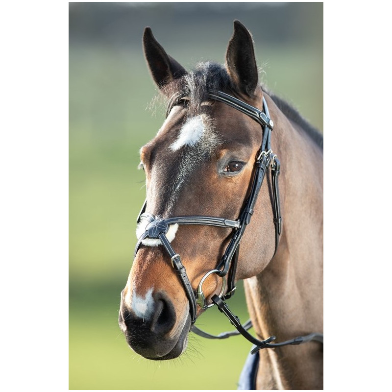 Mexican Bridle - HFI