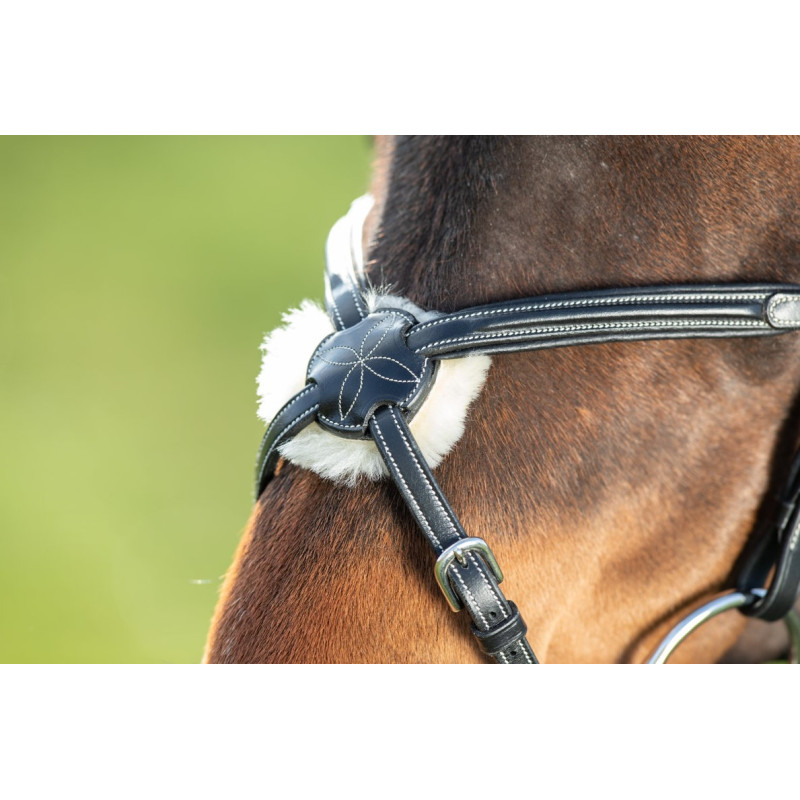 Mexican Bridle - HFI